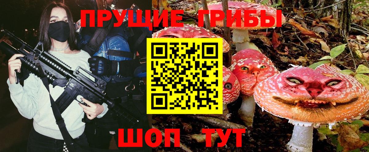 Галлюциногенные грибы Psilocybine cubensis Нерюнгри