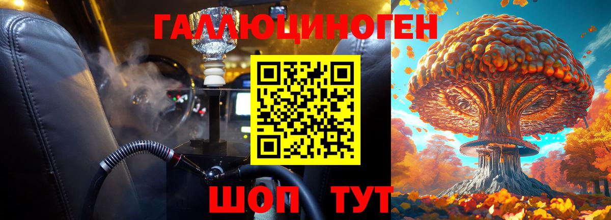 купить закладку  Галлюциногенные грибы Cubensis  Вход с VPN  Нерюнгри 